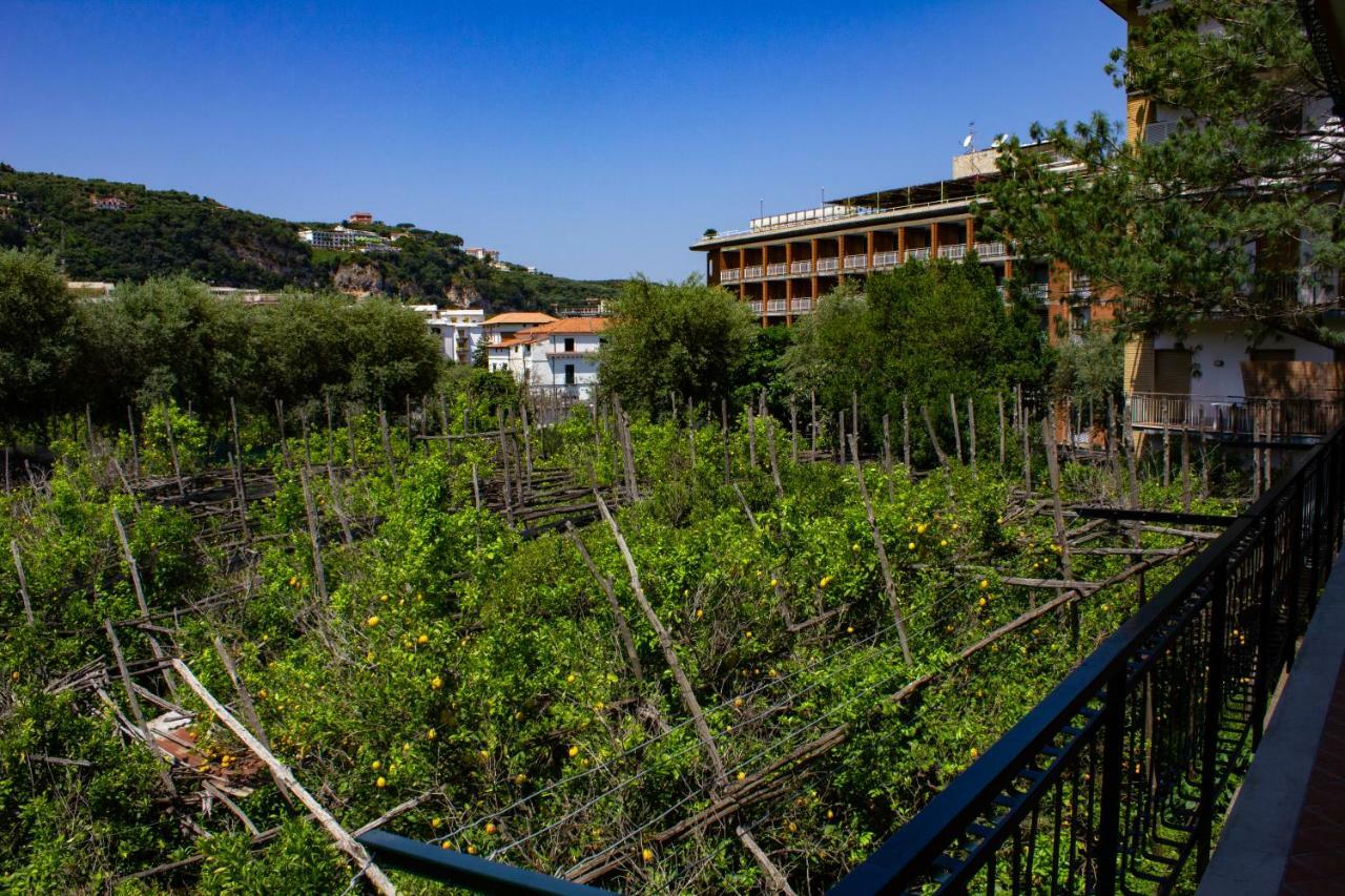 Flower'S Home Sorrento Bagian luar foto
