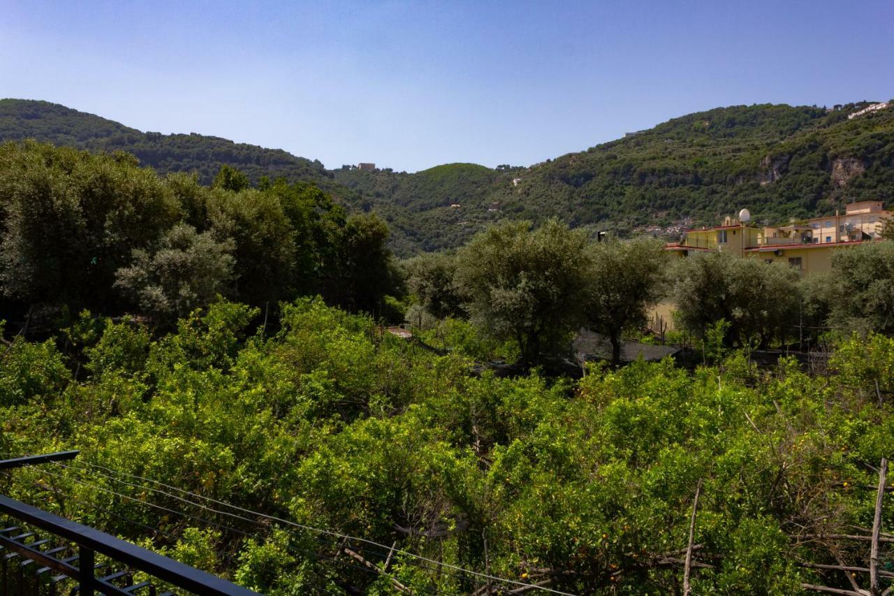 Flower'S Home Sorrento Bagian luar foto